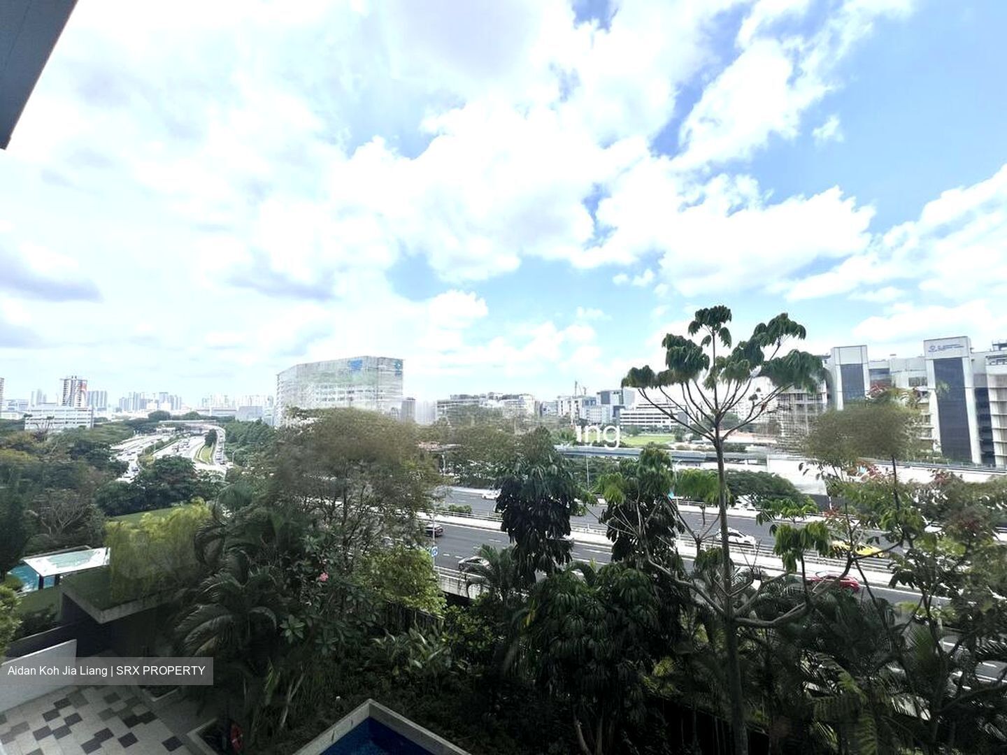 Sims Urban Oasis (D14), Condominium #425604871